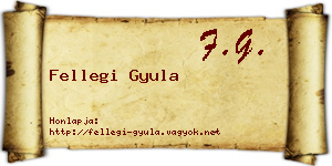 Fellegi Gyula névjegykártya